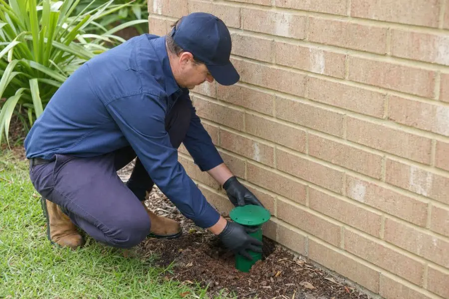 Technician installing a termite bait station in the soil beside a brick foundation